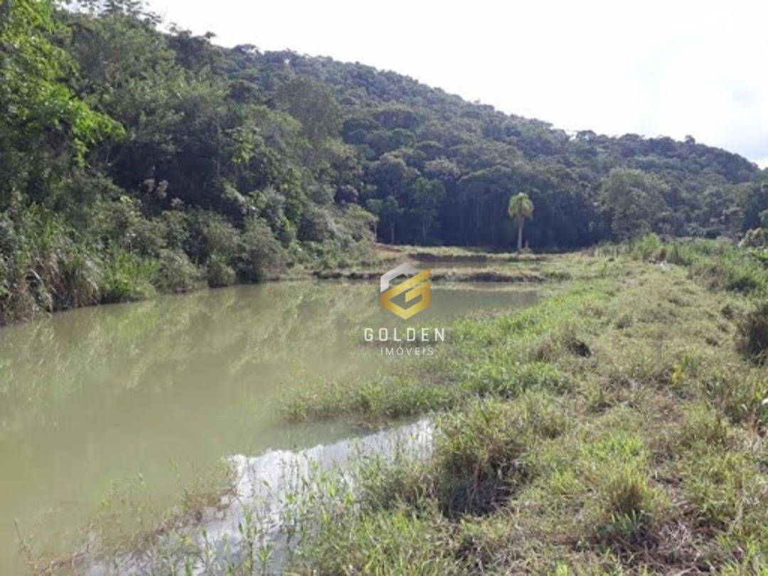 Sítio à venda com 5 quartos, 300m² - Foto 12