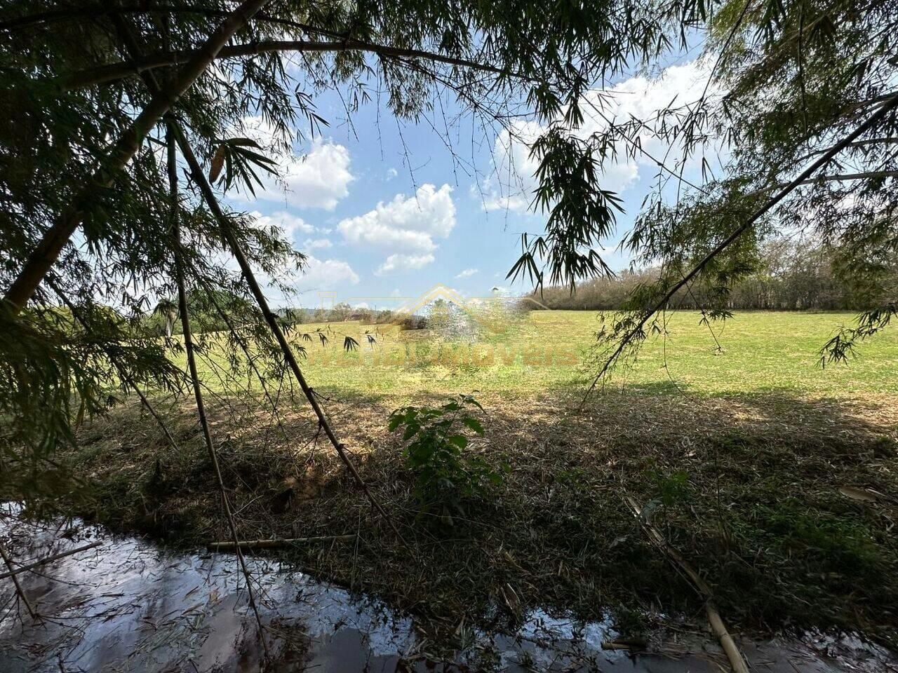 Fazenda à venda com 3 quartos, 14m² - Foto 15