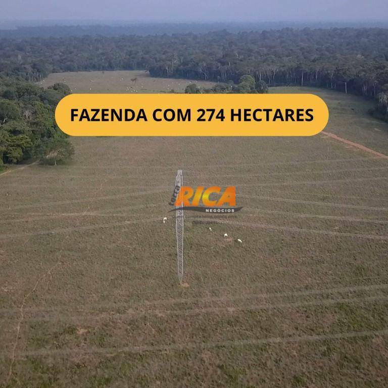 Fazenda à venda, 2740000M2 - Foto 1