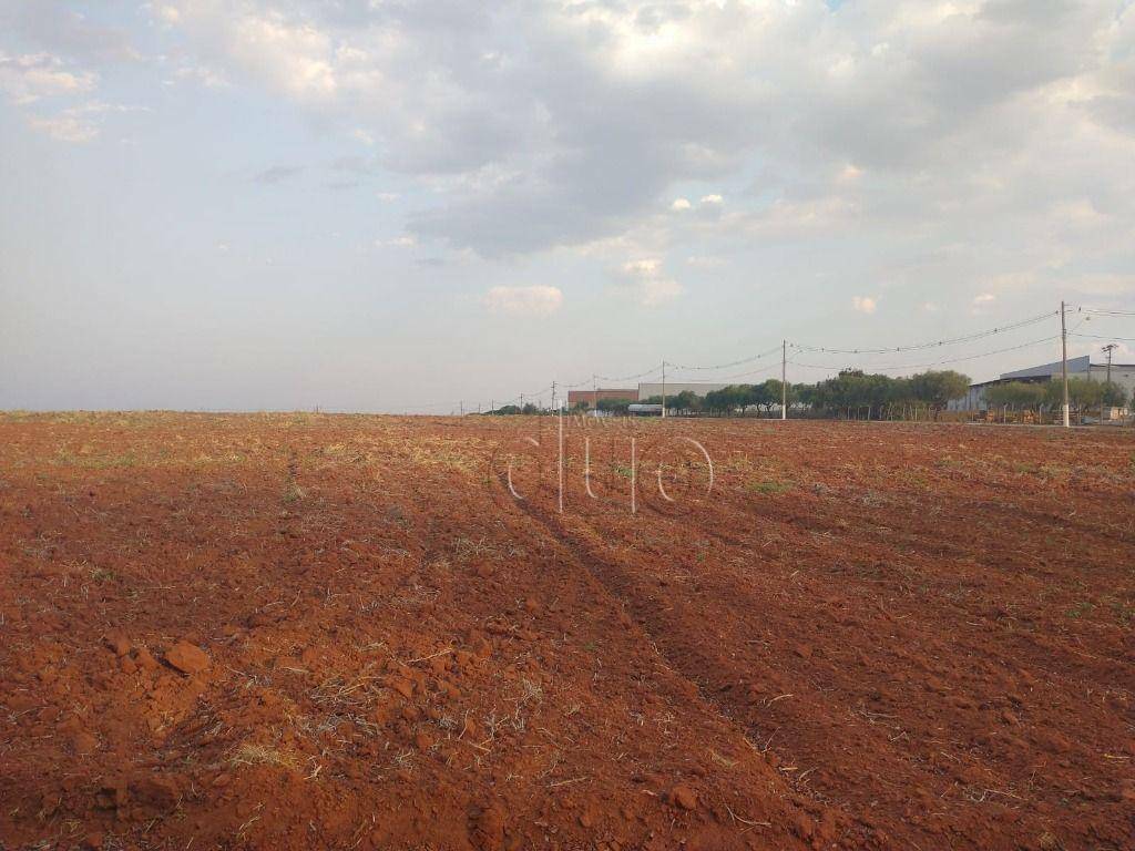 Terreno para alugar, 107000M2 - Foto 10