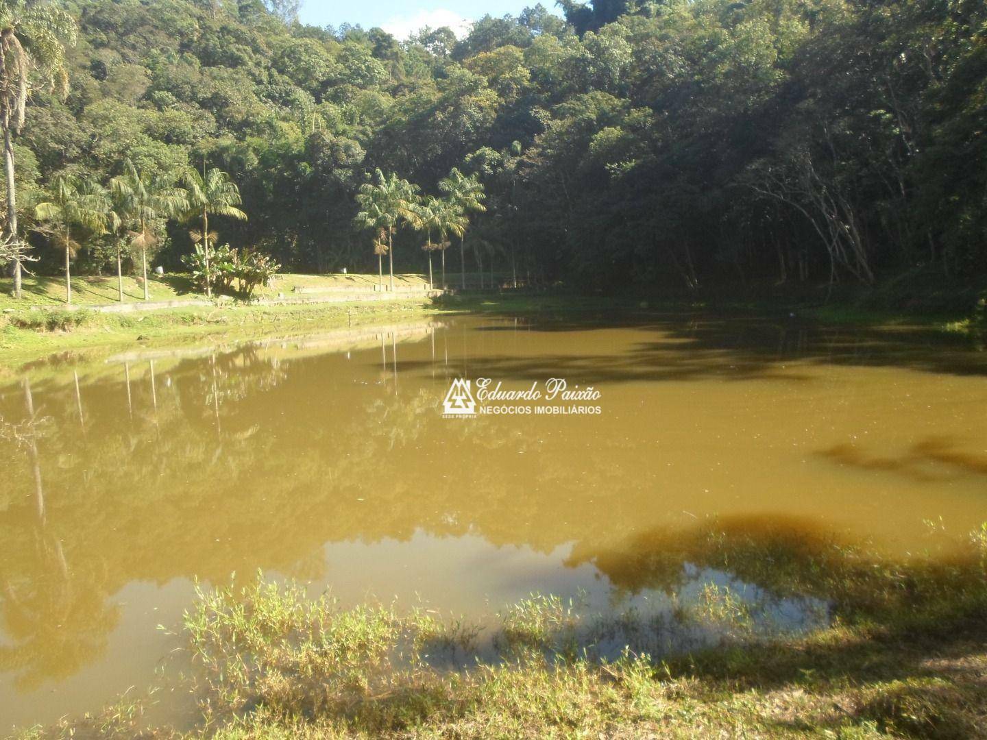 Sítio à venda com 3 quartos, 50000M2 - Foto 46