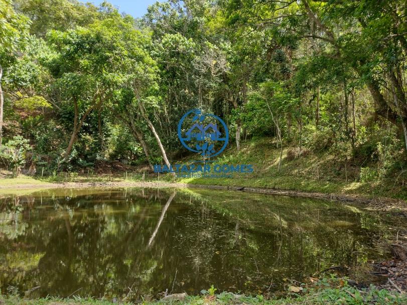 Fazenda à venda com 3 quartos, 58000m² - Foto 23