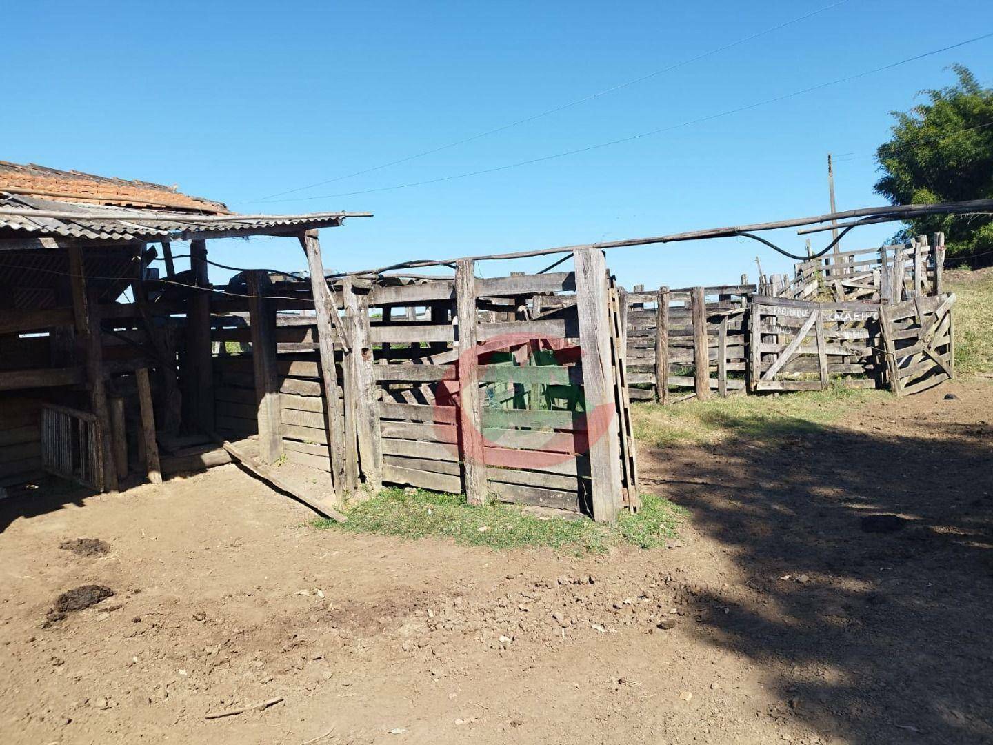 Sítio à venda com 2 quartos, 80m² - Foto 12
