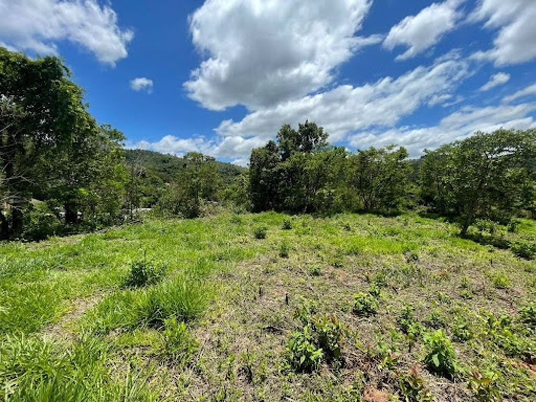 Terreno à venda, 2600M2 - Foto 14