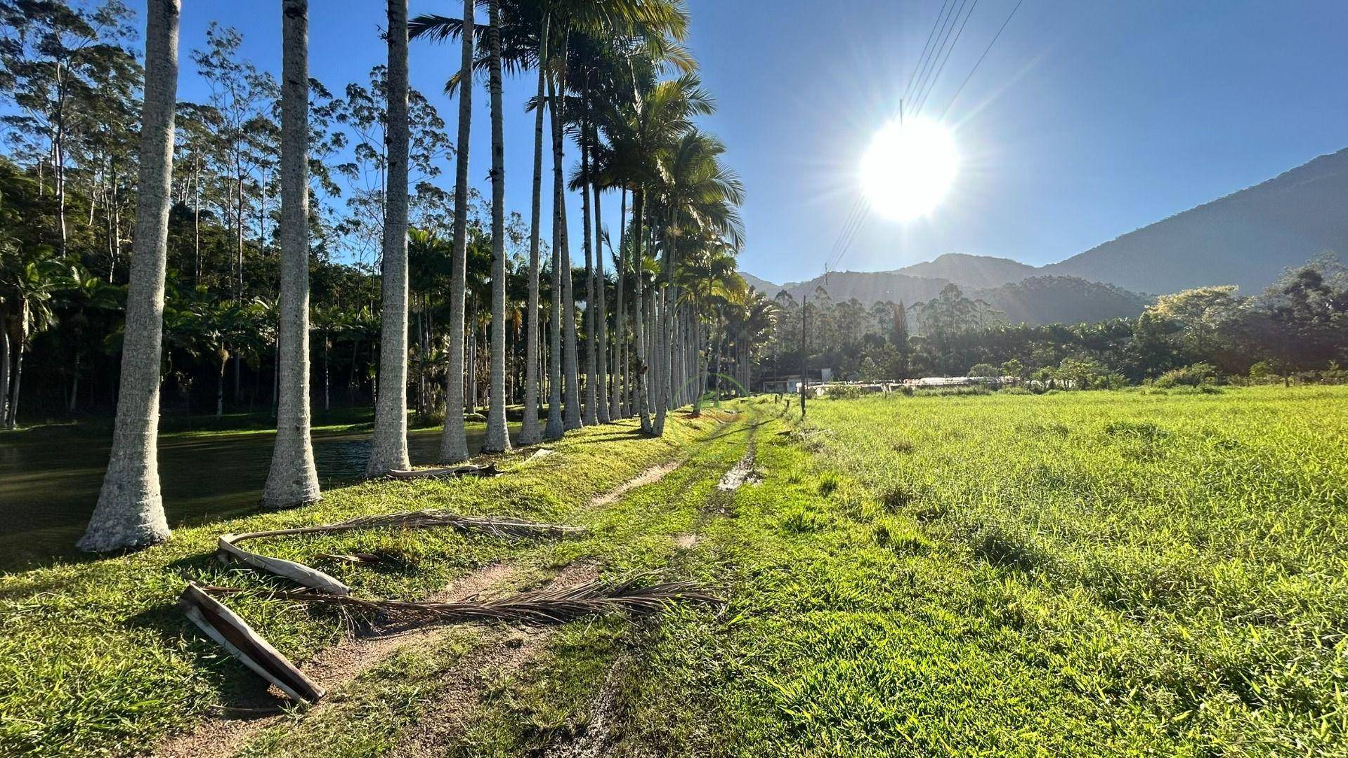 Sítio, 19 hectares - Foto 27