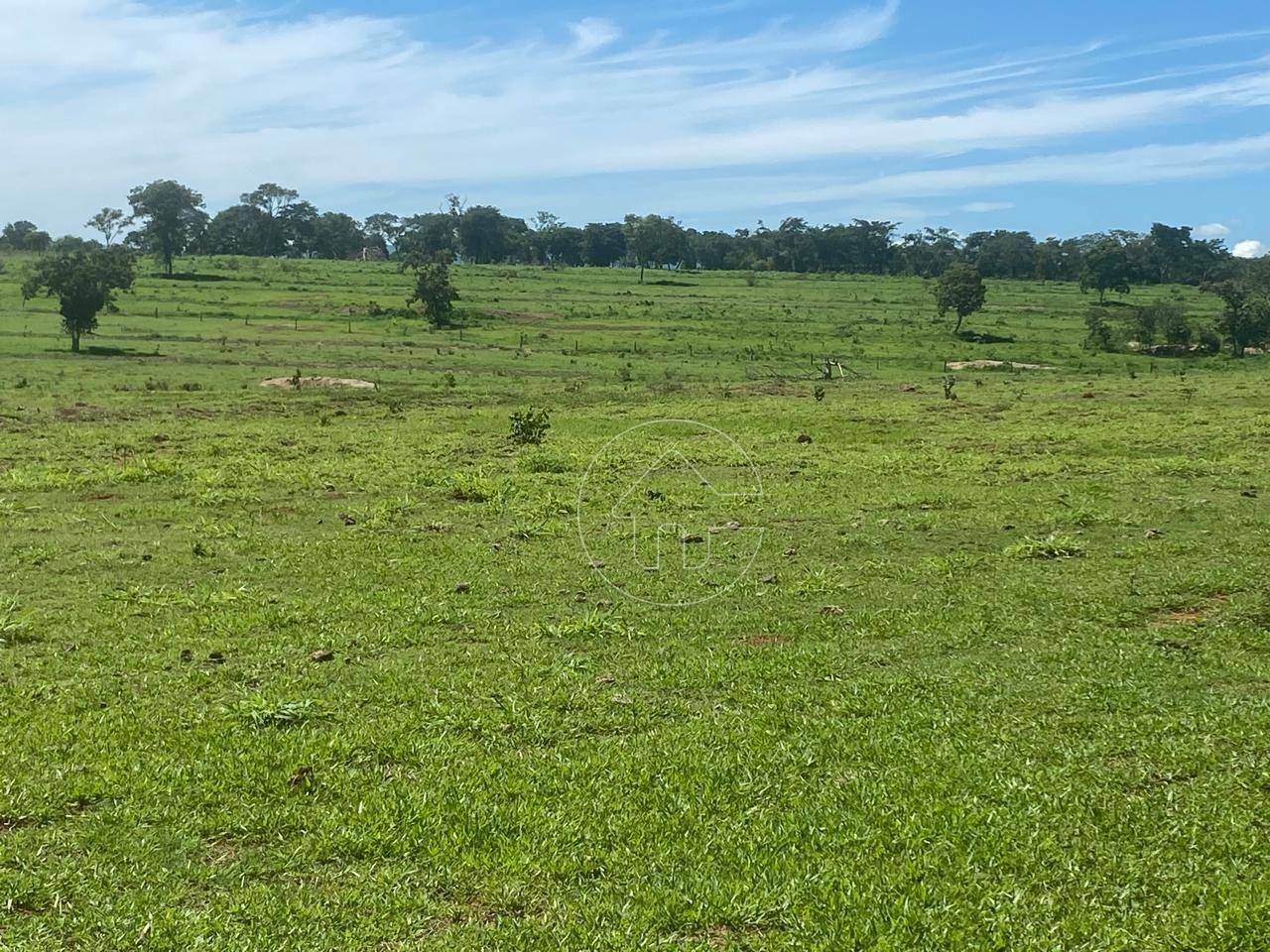 Fazenda-Sítio-Chácara, 136 hectares - Foto 1