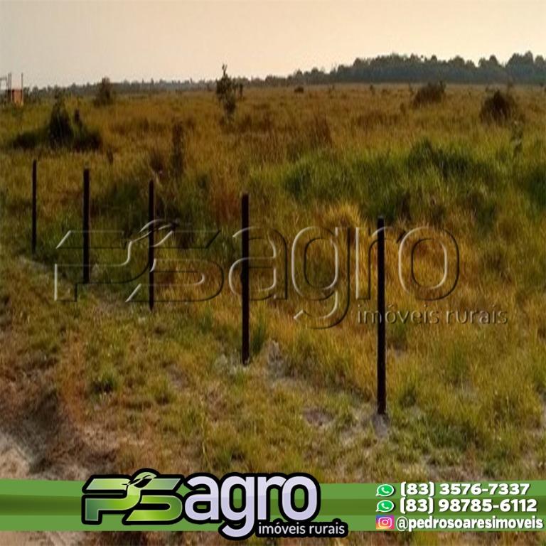 Fazenda-Sítio-Chácara, 6126 hectares - Foto 1