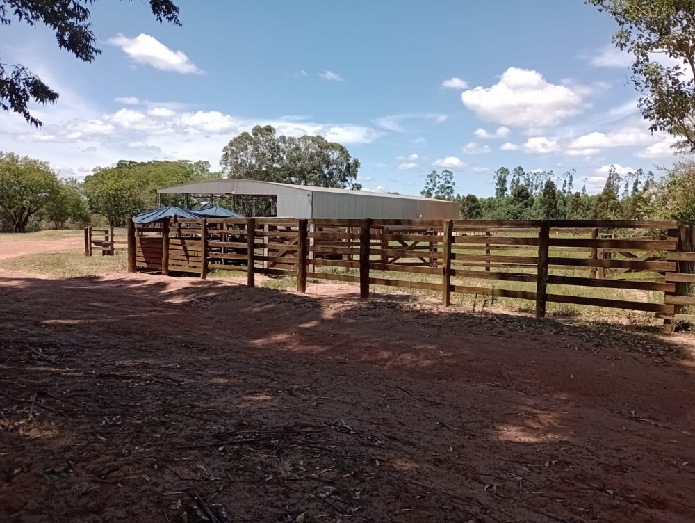 Fazenda-Sítio-Chácara, 25 hectares - Foto 9