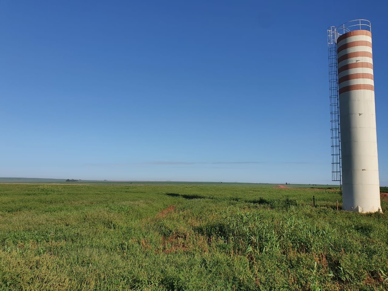 Fazenda à venda, 14530000M2 - Foto 5