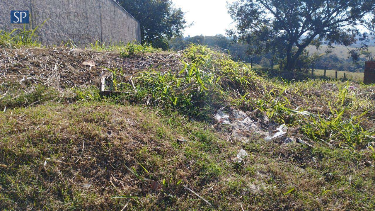 Terreno à venda, 250M2 - Foto 4