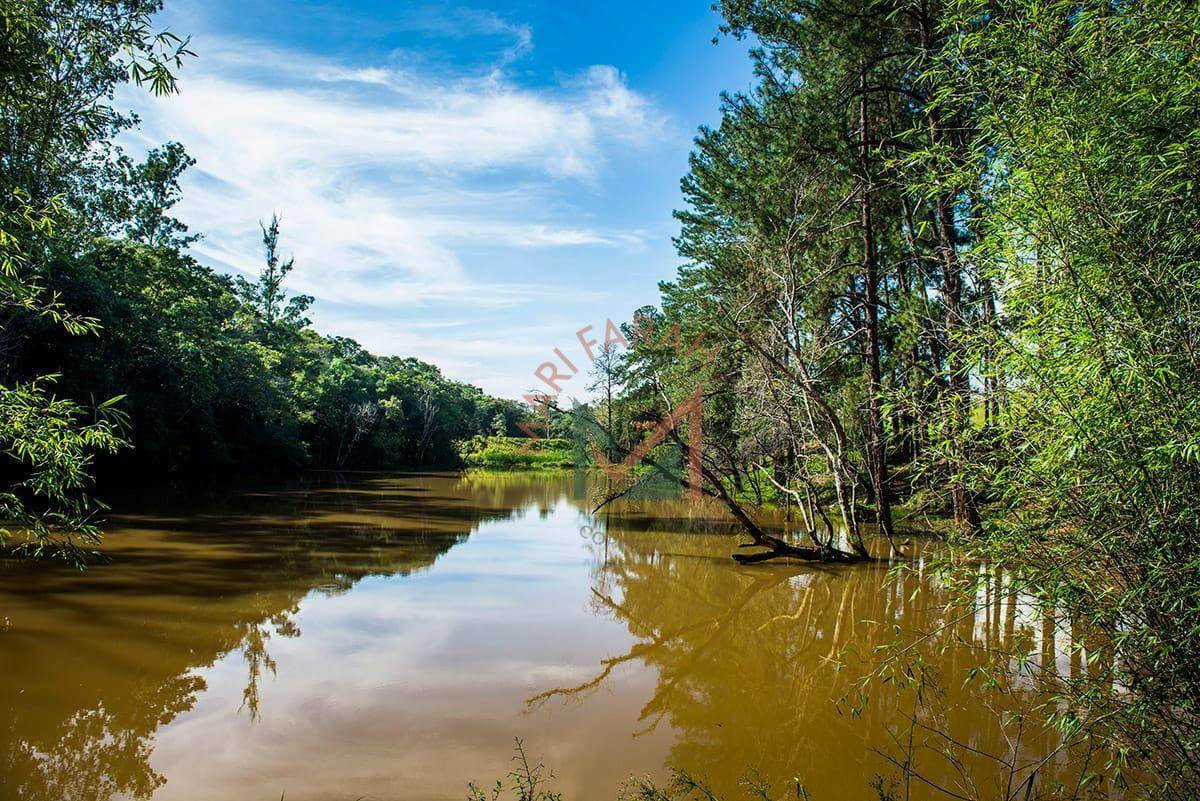 Loteamento e Condomínio, 1000 m² - Foto 3