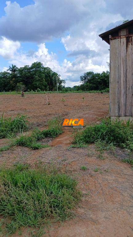 Fazenda, 200 hectares - Foto 4