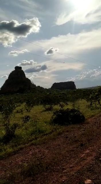 Fazenda à venda com 1 quarto, 17800000M2 - Foto 5