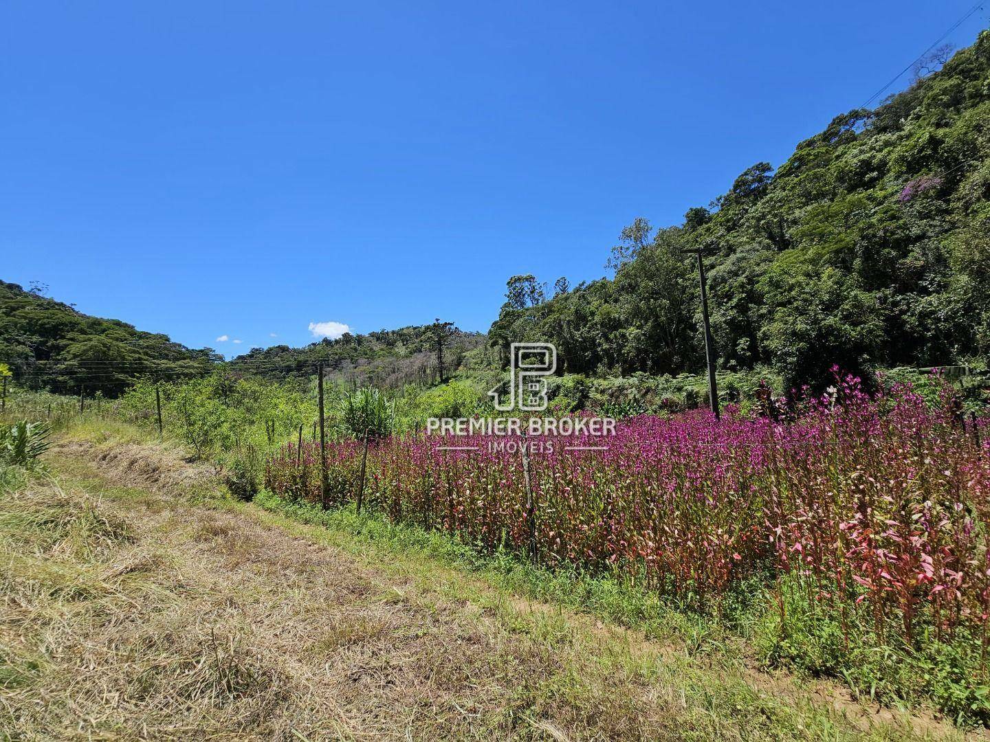 Sítio à venda com 5 quartos, 2500m² - Foto 17
