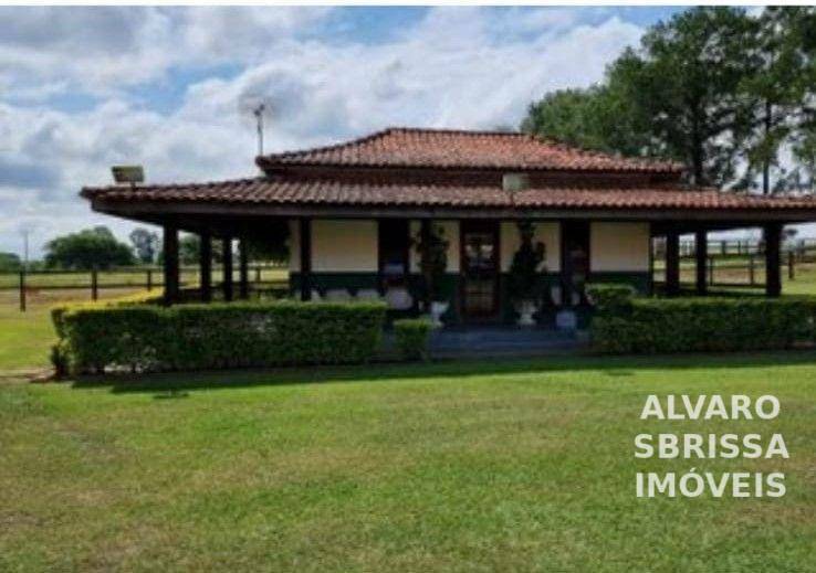 Haras e Área Rural Padrão à venda com 3 quartos, 798600M2 - Foto 2