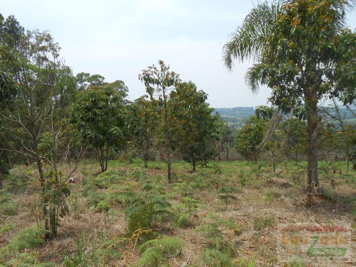 Chácara à venda com 4 quartos, 120000m² - Foto 21