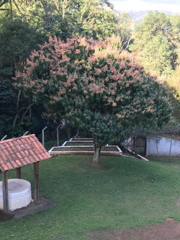 Sítio à venda, 5000m² - Foto 33