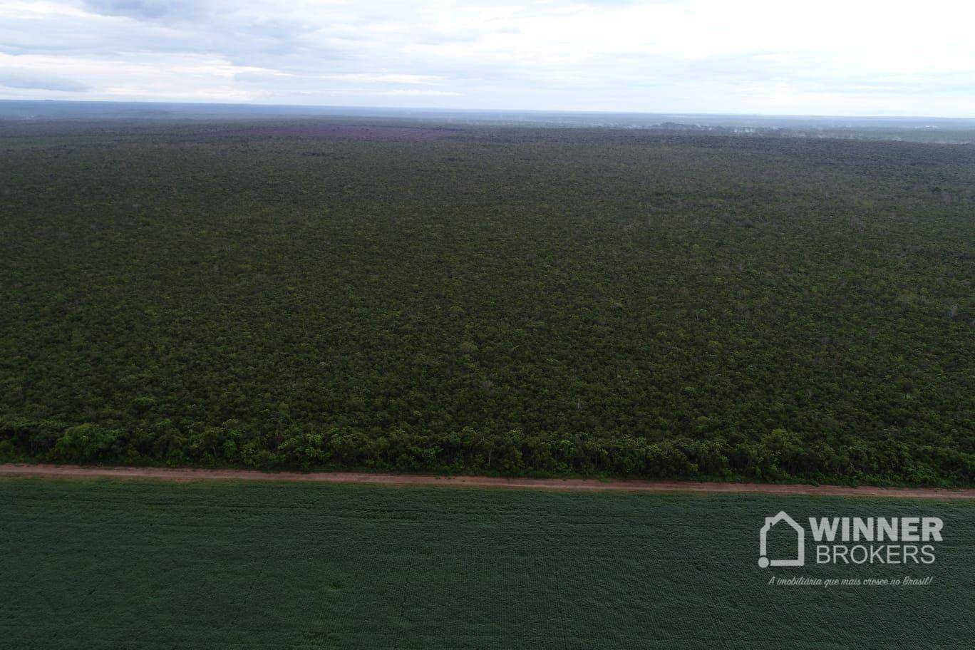 Fazenda-Sítio-Chácara, 563 hectares - Foto 5