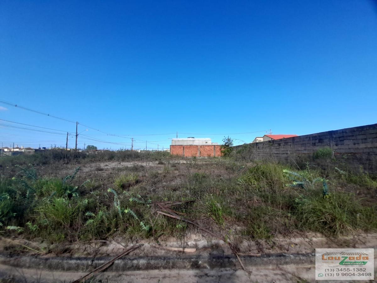 Terreno à venda, 250m² - Foto 2