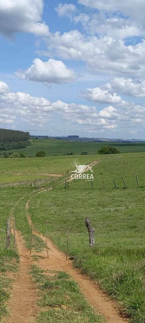 Fazenda à venda, 968000M2 - Foto 6