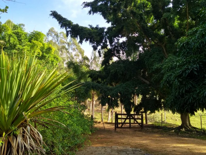 Fazenda à venda, 120m² - Foto 10