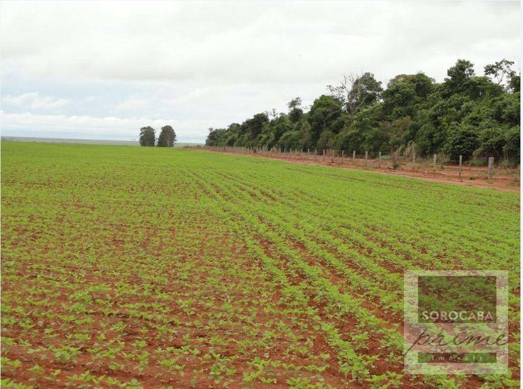 Fazenda à venda, 890000000M2 - Foto 9