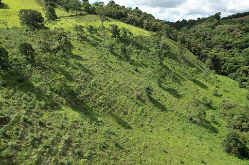 Terreno à venda, 75000M2 - Foto 22