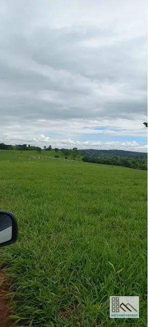 Fazenda-Sítio-Chácara, 305 hectares - Foto 1