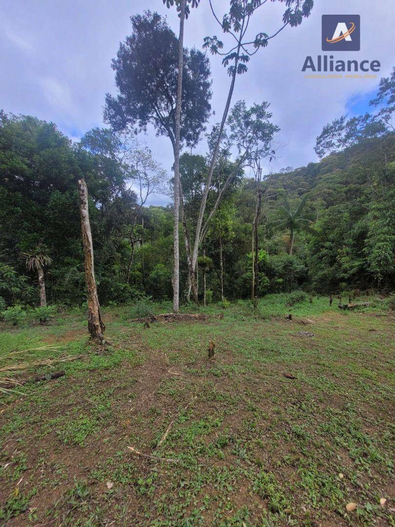 Sítio à venda com 1 quarto, 100m² - Foto 4