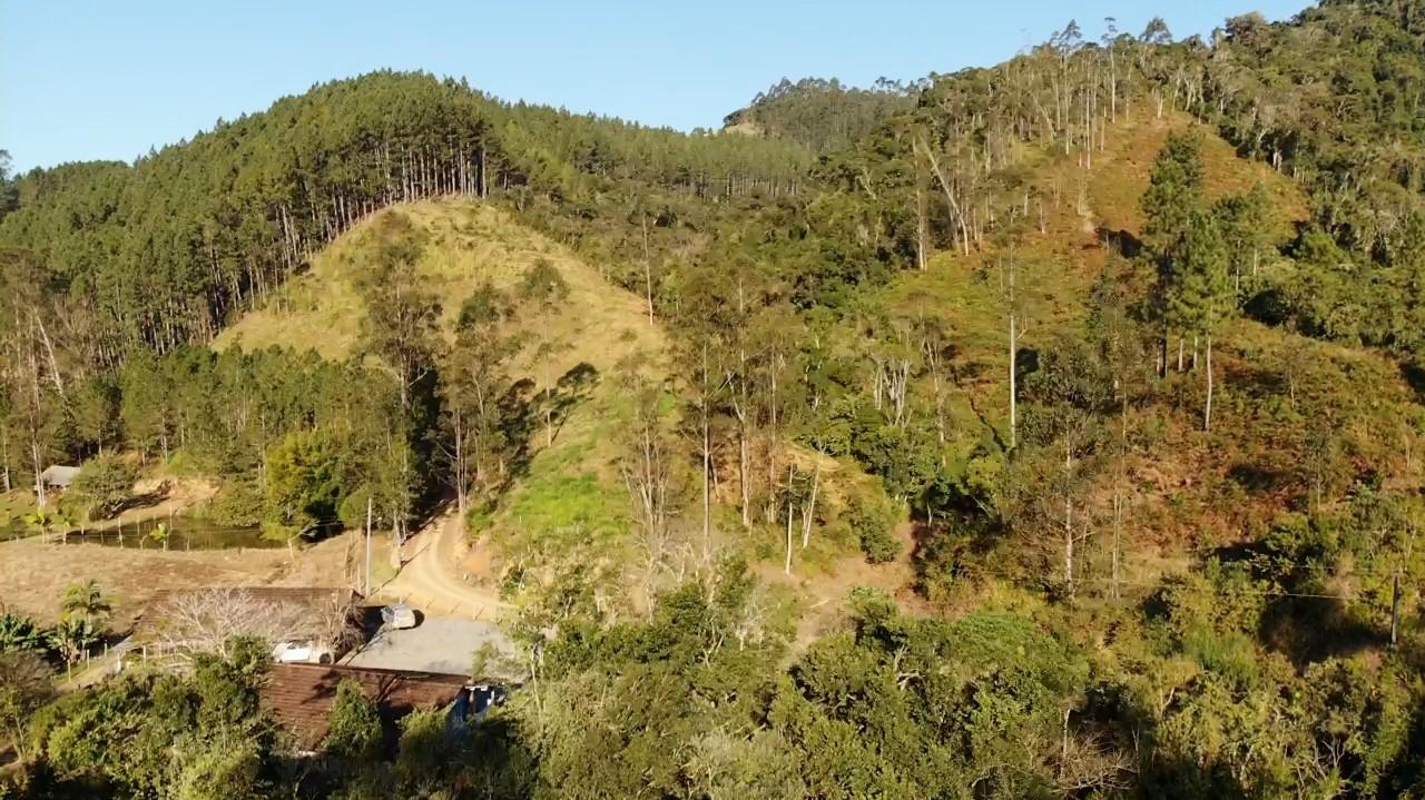 Fazenda à venda com 3 quartos, 140000m² - Foto 23