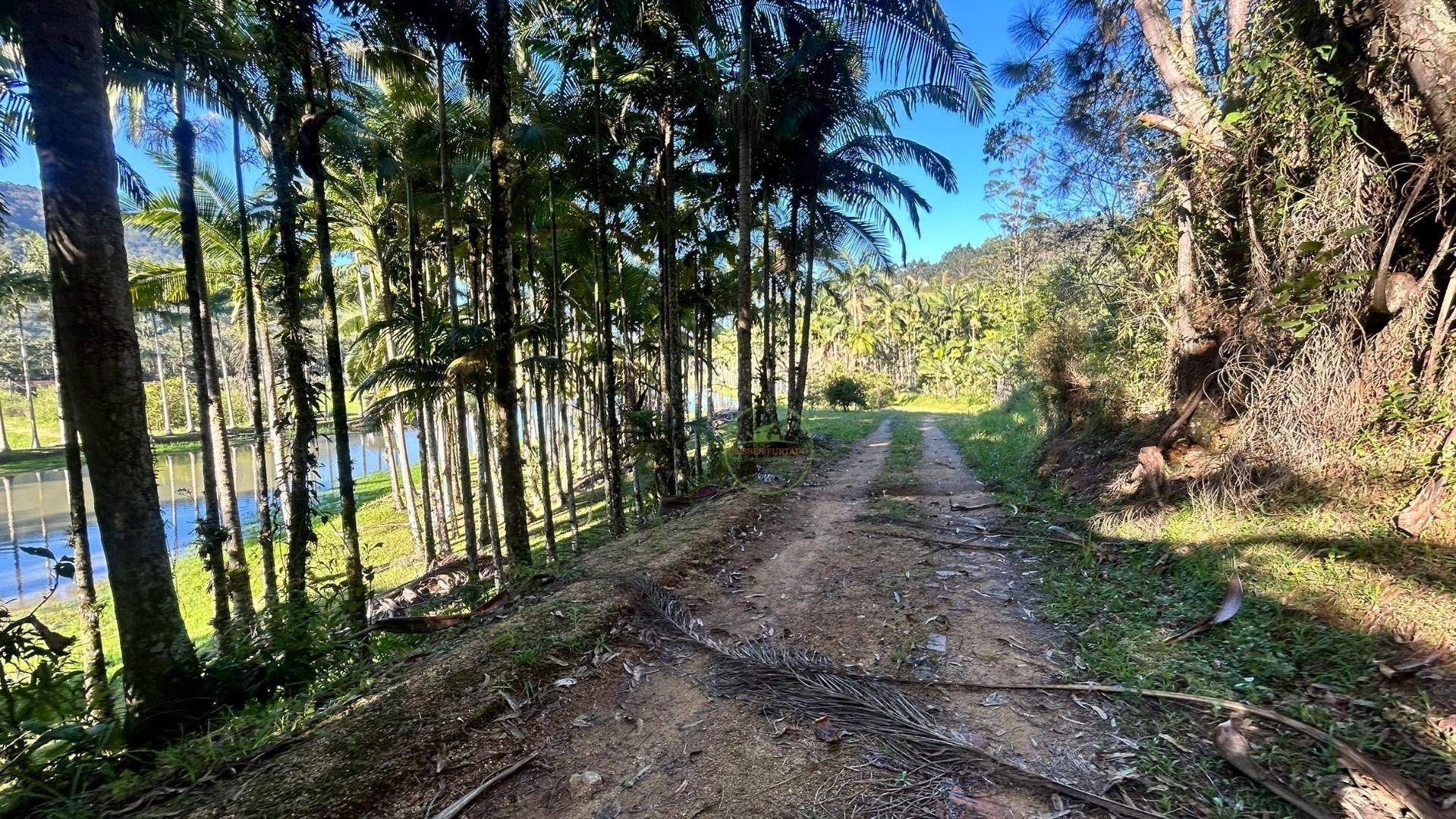 Sítio, 19 hectares - Foto 42