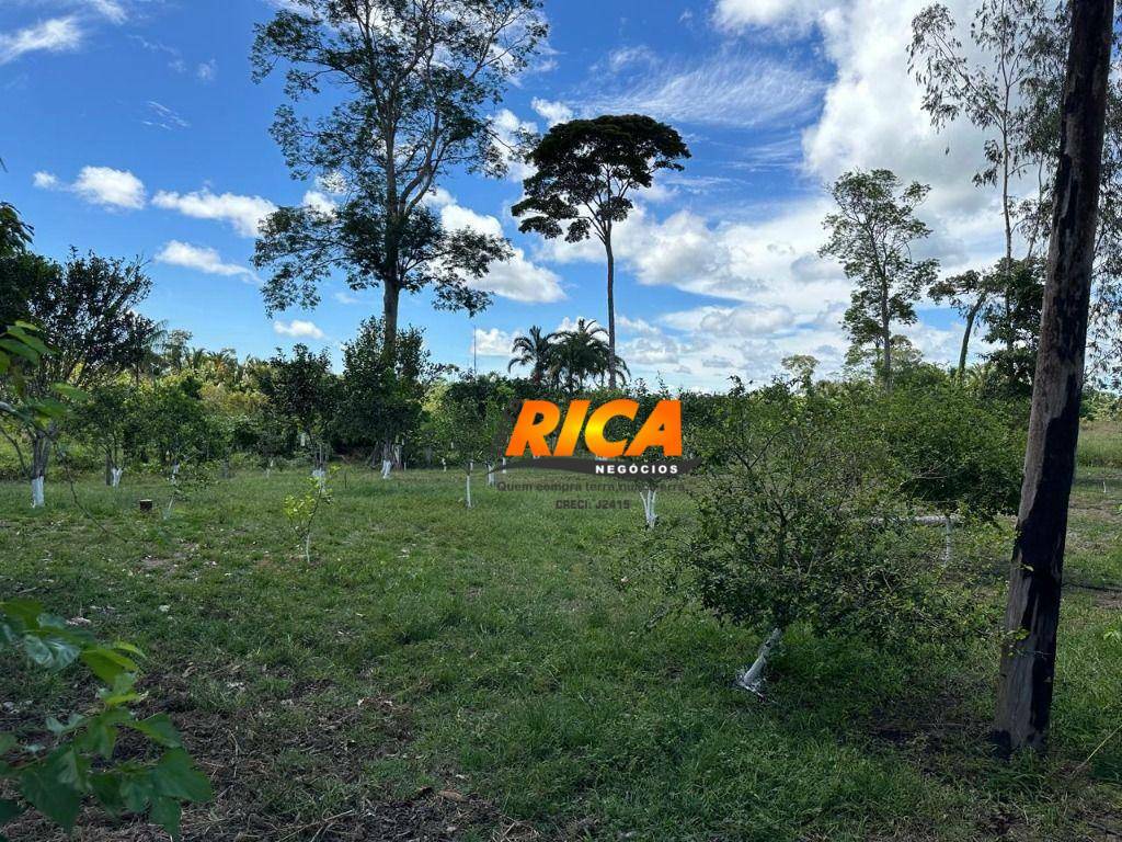 Fazenda à venda, 1110000M2 - Foto 53