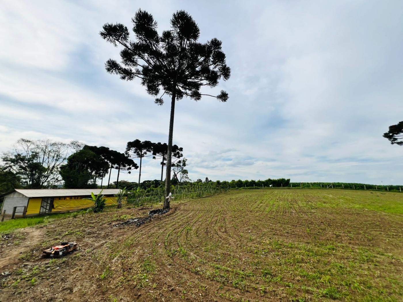 Fazenda à venda, 28000m² - Foto 60