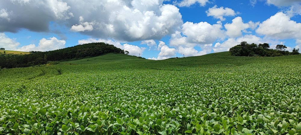 Fazenda à venda, 52m² - Foto 15