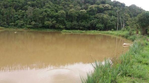 Fazenda à venda com 4 quartos - Foto 8