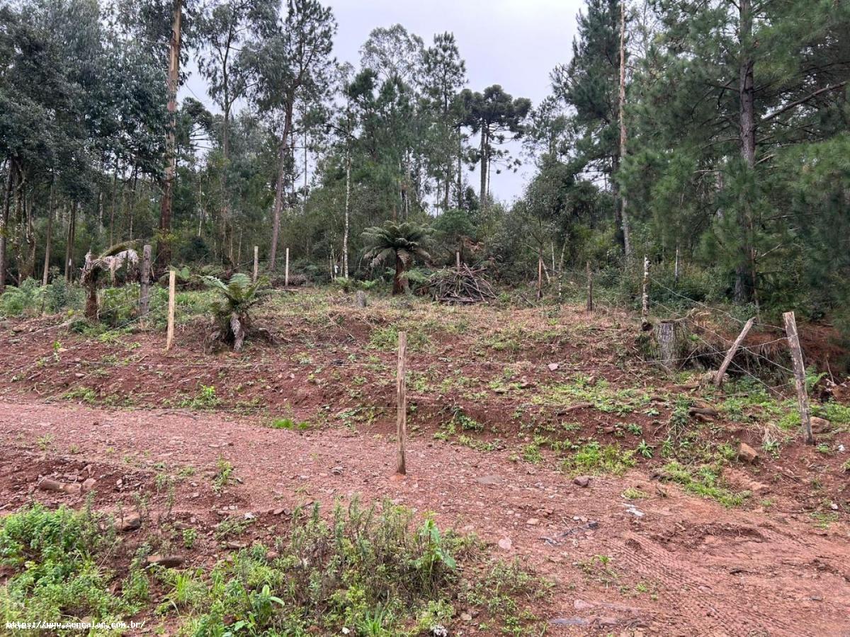 Terreno à venda, 300m² - Foto 4