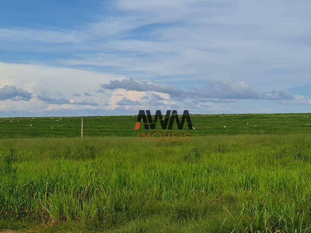 Fazenda à venda, 70000000M2 - Foto 38