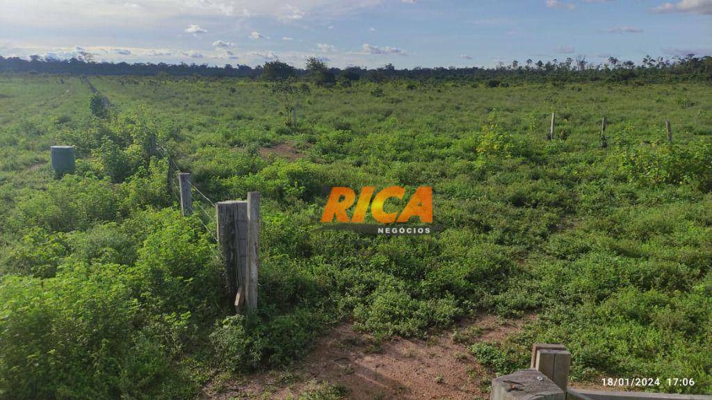 Fazenda à venda, 4770000M2 - Foto 6