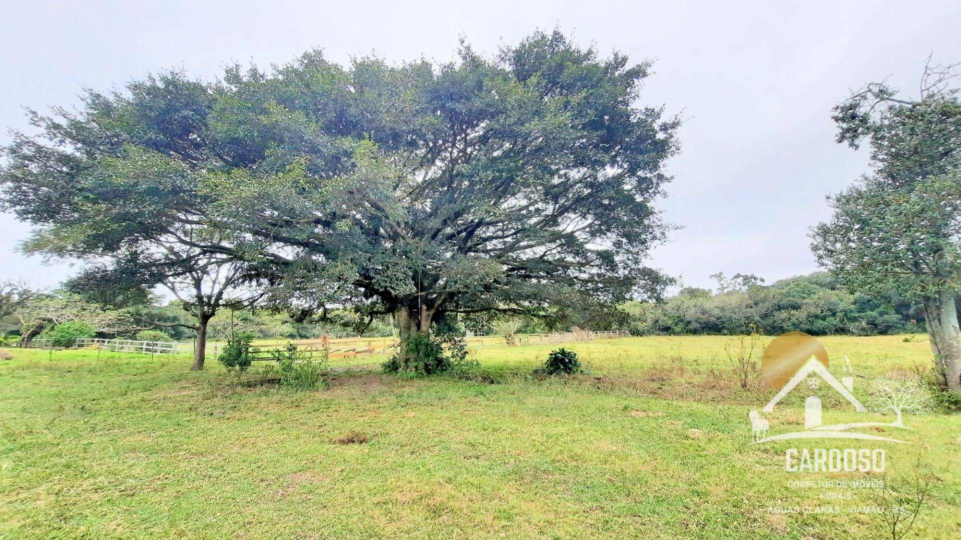 Haras e Área Rural Padrão à venda com 3 quartos, 270000M2 - Foto 9