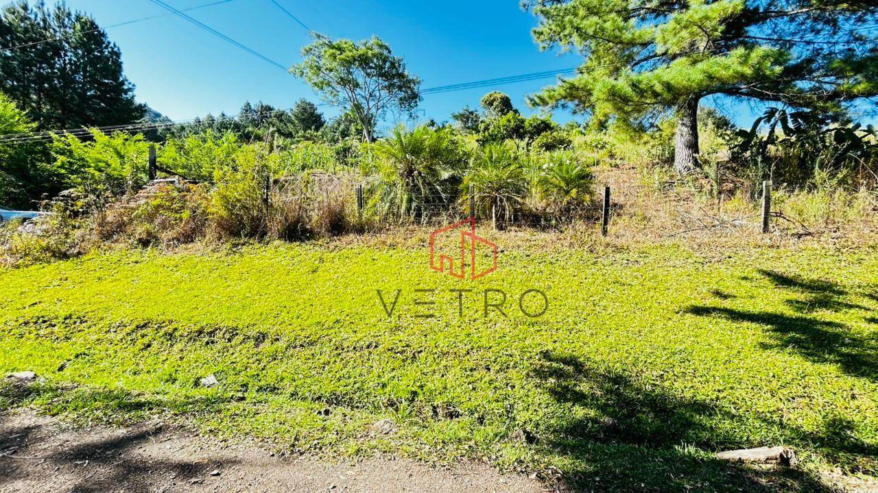 Sítio, 2 hectares - Foto 11