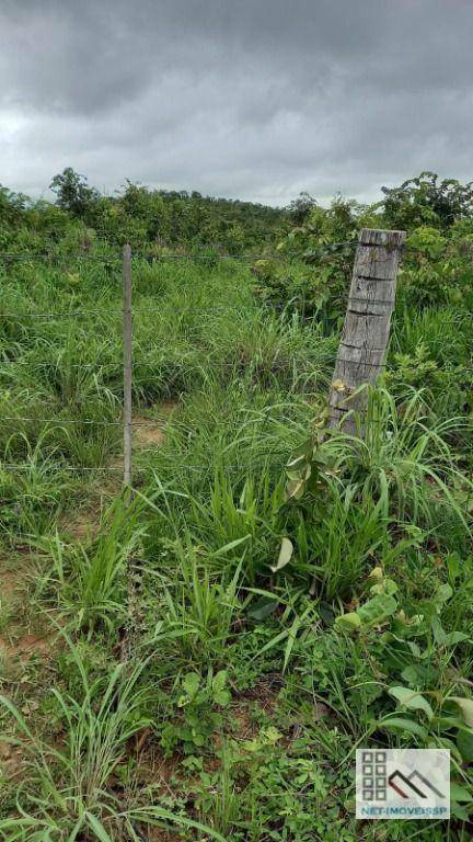 Fazenda-Sítio-Chácara, 1013 hectares - Foto 4