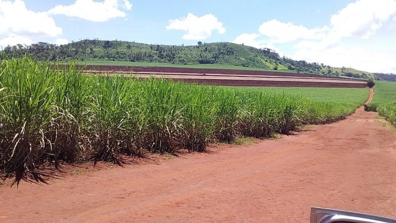 Fazenda, 773 hectares - Foto 7