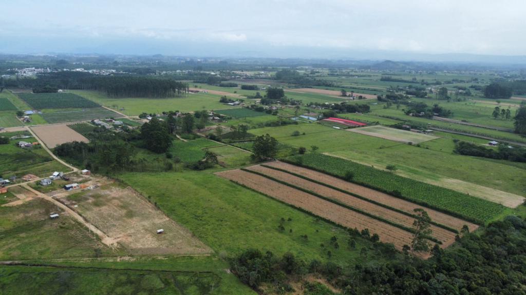 Fazenda à venda com 1 quarto, 90m² - Foto 9