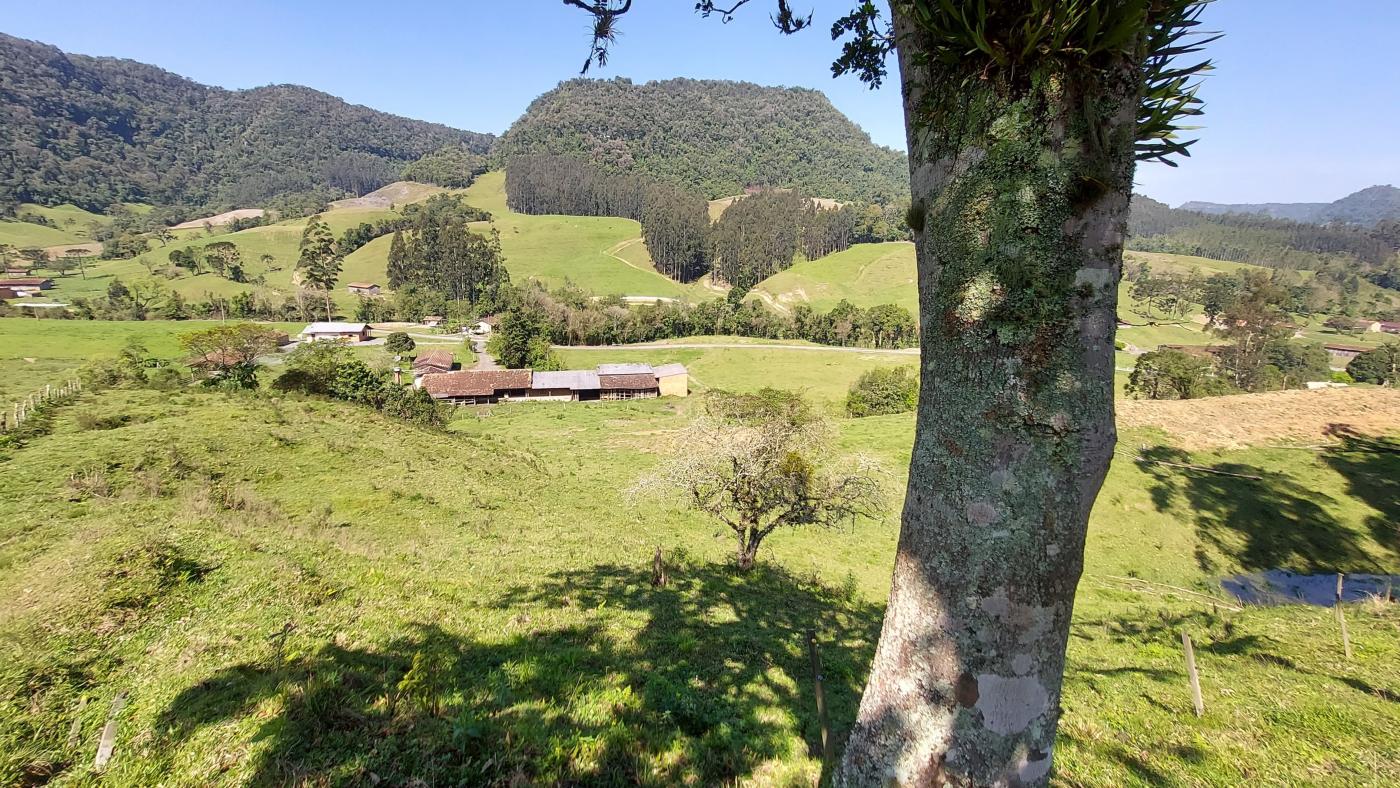 Fazenda à venda com 4 quartos, 101500m² - Foto 32