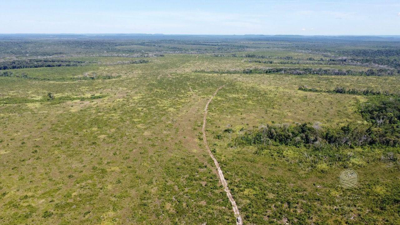 Fazenda à venda, 53620000M2 - Foto 3