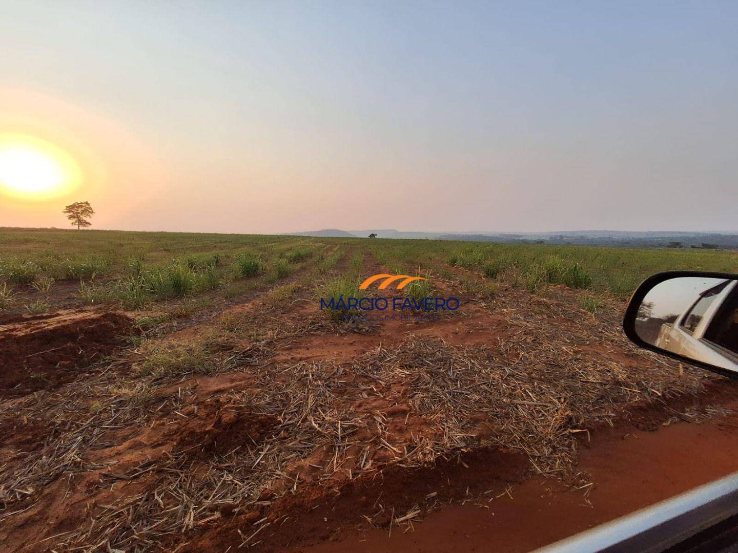 Fazenda, 68 hectares - Foto 4