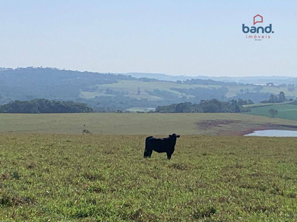 Fazenda à venda, 2265100M2 - Foto 9