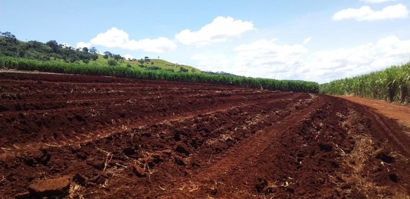 Fazenda-Sítio-Chácara, 773 hectares - Foto 4