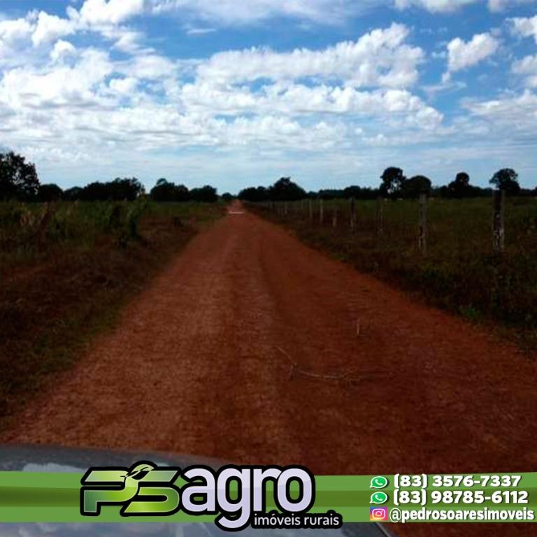 Fazenda à venda, 430000M2 - Foto 7