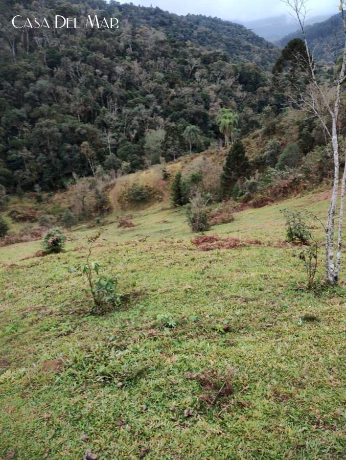 Fazenda à venda, 20000m² - Foto 4